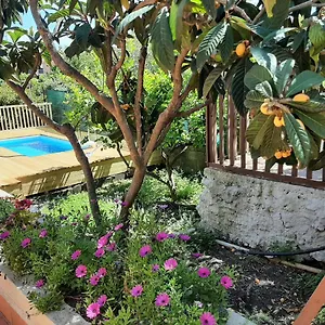 Carrubo - Giardino In Hébergement de vacances Catane